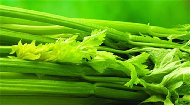 芹菜领兵香菇挂帅 抗癌蔬菜五虎上将