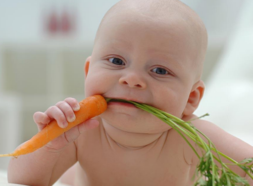 素食会营养不足吗?