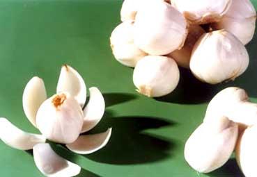 百合(图片来源:资料图)