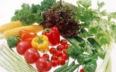 世界名人素食小故事