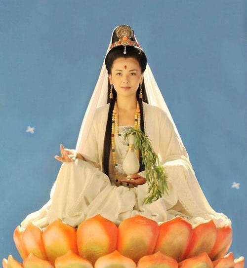 演员刘涛:一只羊让我成为素食主义信佛者