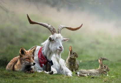 我们都是地球家园的同胞手足,我们的内心不可以缺了慈悲(图片来源:资料图)