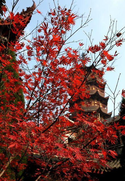 慧日禅寺