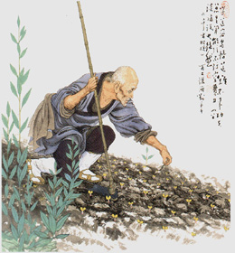 以修行为生活懒惰的借口不是真修行-百丈怀海