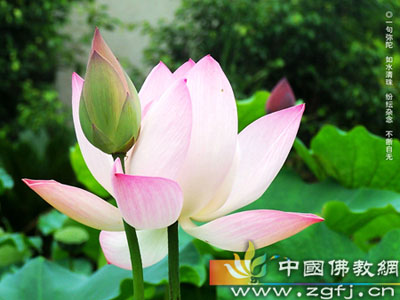 佛教故事 生命的清单
