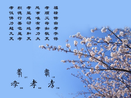 &ldquo;贵&rdquo;要怎么修