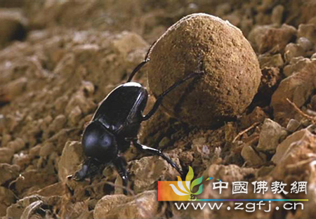 佛说:泥土的故事.jpg