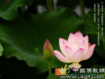 唯一被录取的人