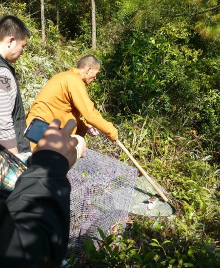 打坐时遇到大蟒蛇求救