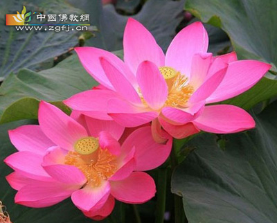 只有做才能成 .jpg