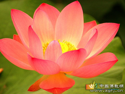 女人贫富贵贱与美丑(图文)