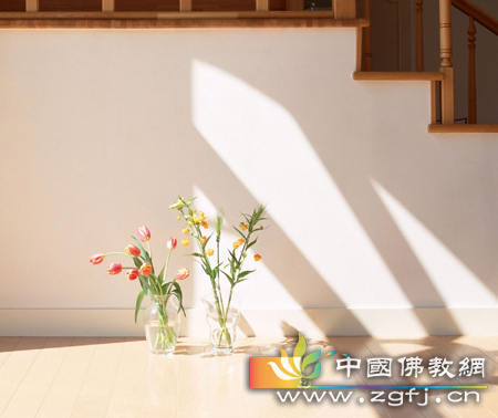 我们需要的土地有多大.jpg