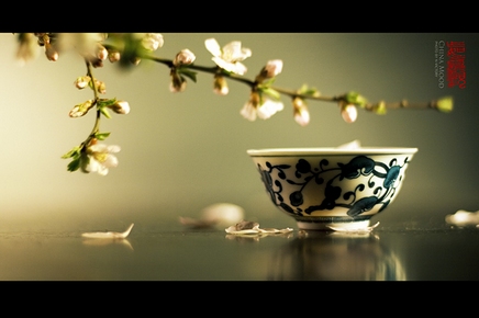 观音梦中暗示我遗失文件的地点