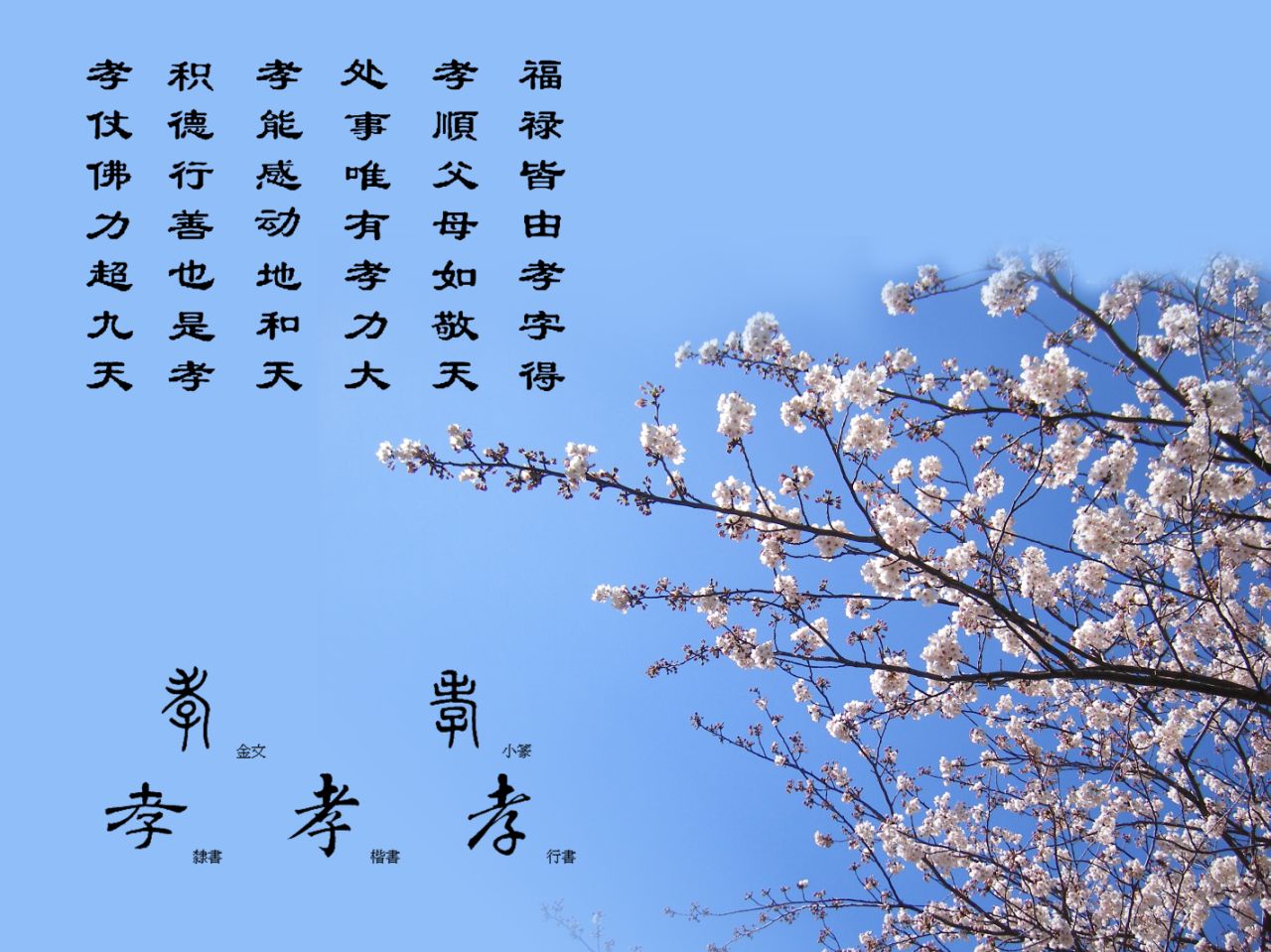 中国佛教故事网