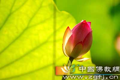 20065282150400副本.jpg