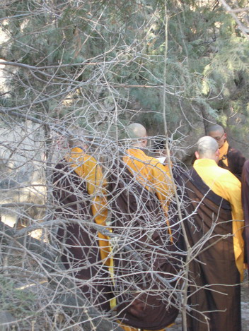 出家师的背影－我经历的因果报应