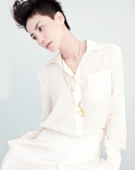 赵薇、刘若英、蔡依林、林忆莲、王菲、范晓萱,她们为什么吃素