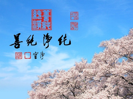 一个女人的邪淫经历