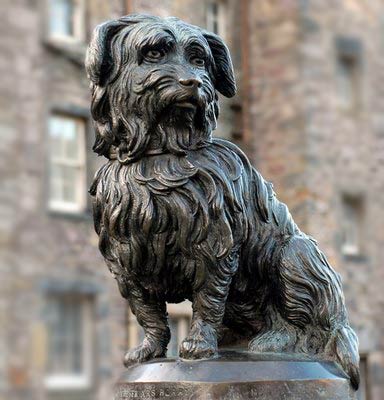 流浪狗守墓14年，为老人一饭之恩－－中国佛教故事网