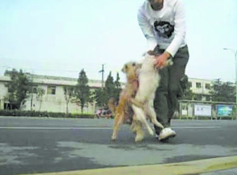 问世间情为何物，直教&ldquo;狗男女&rdquo;生死不离--佛教故事