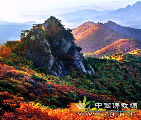 佛说：没人可以束缚我们.jpg