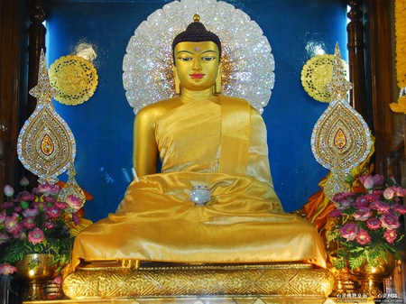 佛陀＿云驰代龙别啄