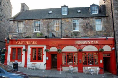 流浪狗守墓14年，为老人一饭之恩