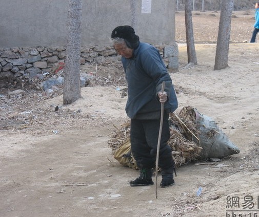 儿呀，娘想做你家的一条狗