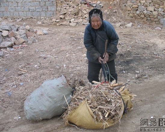 儿呀，娘想做你家的一条狗
