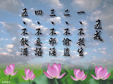每一件都是一颗种子