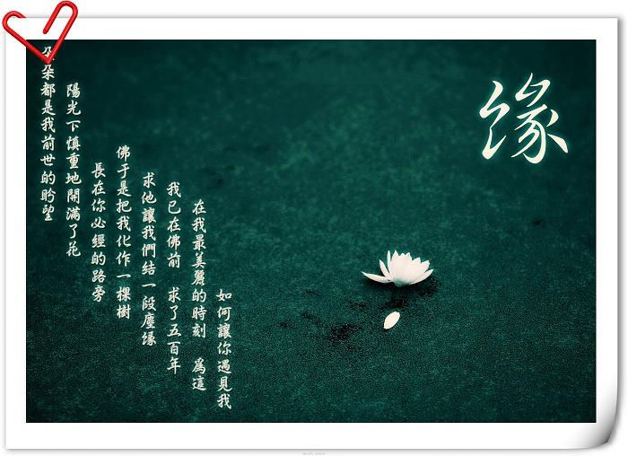 前世今生-前世的逆缘改善道