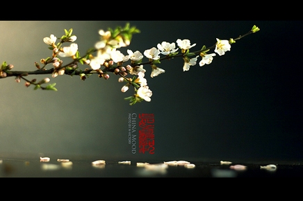 未得授记不丧气