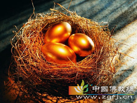 美丽的馈赠.jpg