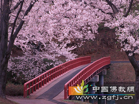 佛为比丘说破前世情爱