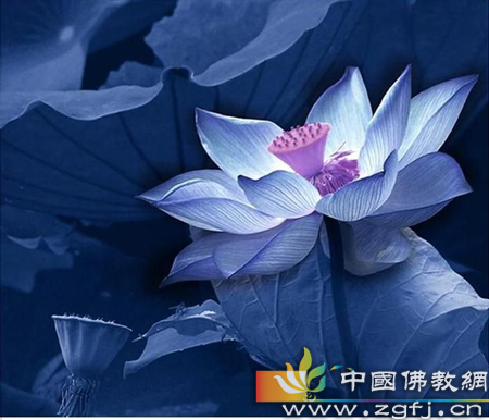 作秀本身对不对