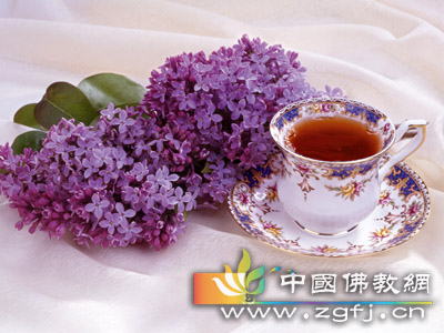 人生智慧——别输了心情(图文)