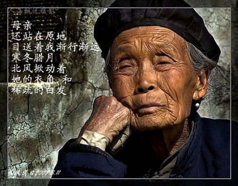 老母亲