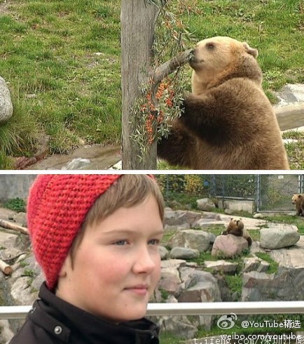 佛教故事－护生故事－给熊买一颗可以爬的树