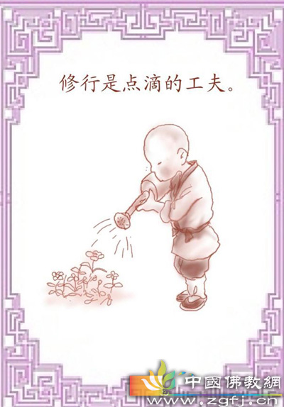 狼的启示