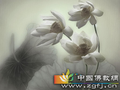 阿难陀涅槃,圣体并分两半