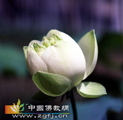 佛曰:六道轮回(图文)