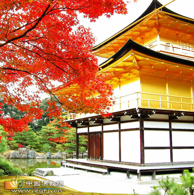 美丽的耶输陀罗妃 .jpg