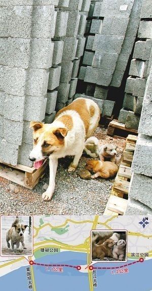 此情此景，让人情何以堪-中国佛教故事网