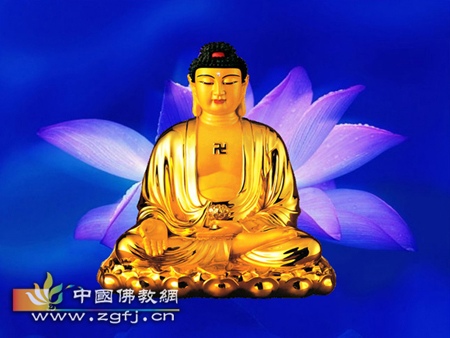 阿弥陀佛-老实人的福气来的晚