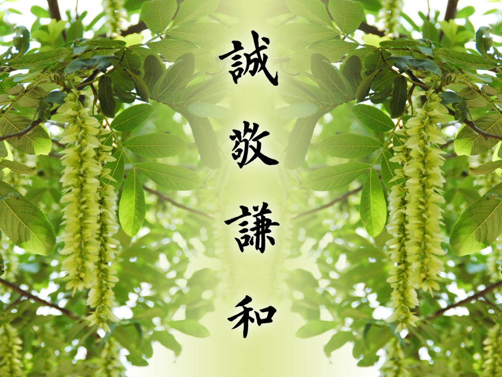 布施使我多次得到善报