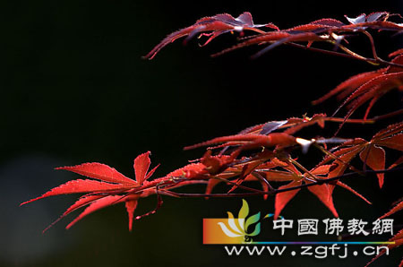 成功秘诀:永不抱怨.jpg