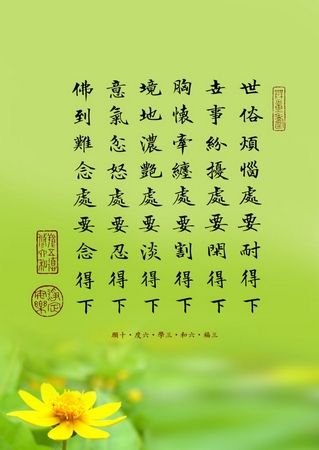 聘礼就是钻石心