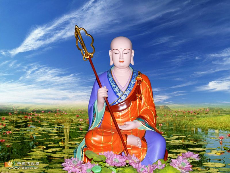 学佛、放生、吃素四个月后发生的变化