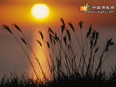 因果就此了结，不要在冤冤相报