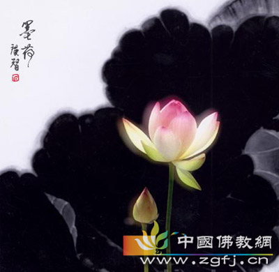 清净心.洁净土.jpg